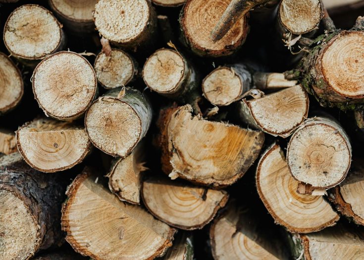 FSC_certified_round_wood_purchasing_hardwood_softwood_logs_wood_purchasing_1-aspect-ratio-735-525