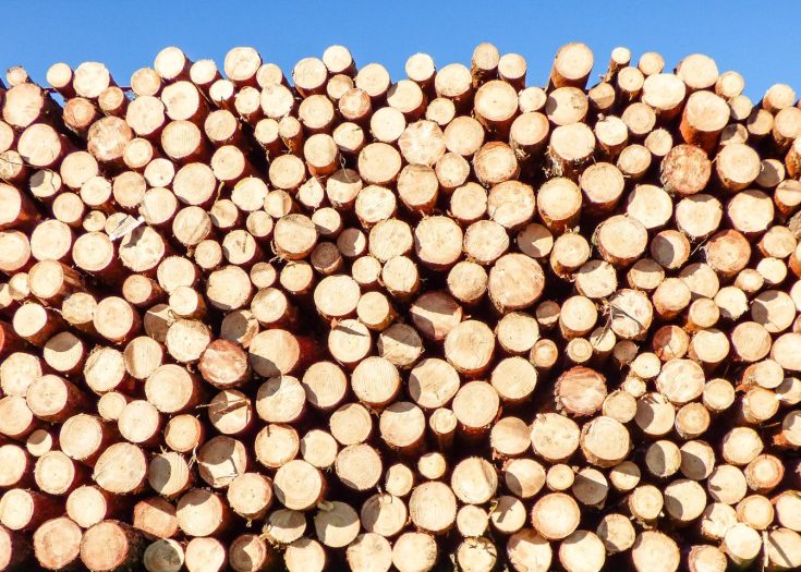 FSC_certified_round_wood_purchasing_hardwood_softwood_logs_wood_purchasing_2-aspect-ratio-735-525