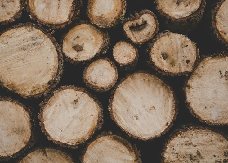 FSC_certified_round_wood_purchasing_hardwood_softwood_logs_wood_purchasing_3-scaled-aspect-ratio-735-525