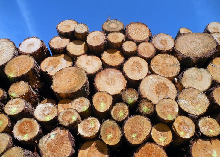 FSC_certified_round_wood_purchasing_hardwood_softwood_logs_wood_purchasing_6-aspect-ratio-735-525